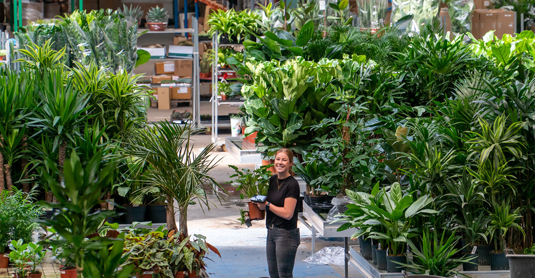 werken bij 123planten