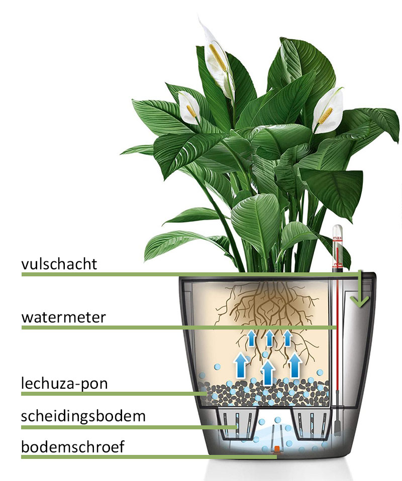 Lechuza Classico Watergeefsystemen